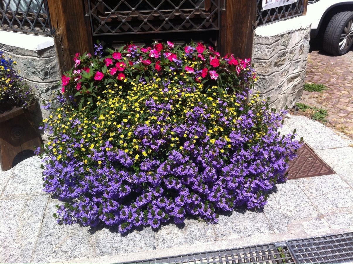 Hotel Gran Baita Gressoney-Saint-Jean Dış mekan fotoğraf