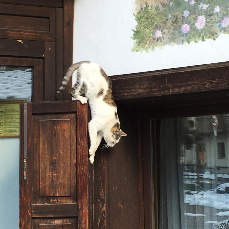Hotel Gran Baita Gressoney-Saint-Jean Dış mekan fotoğraf